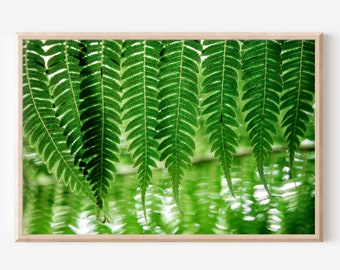 Fern Photography, Botanical Print, Green Plant Photography, Green Fern Print, Nature Photography, Fern Decor, Fern Print