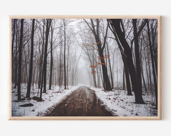 Winter Forest Photography Print, Misty Woodland Landscape (Digital Download)