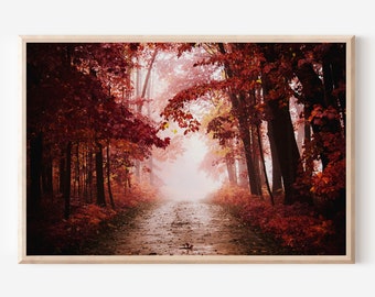 Foggy Autumn Forest Photography Print, Woodland Landscape Wall Art (Digital Download)