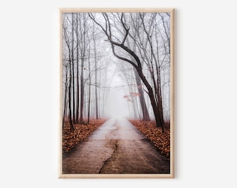Foggy Autumn Forest Photography Print, Woodland Wall Art (Digital Download)