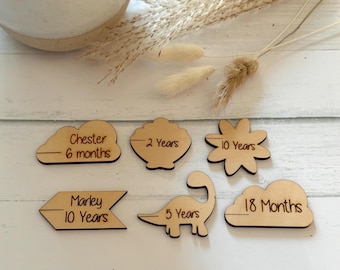 May include: Six wooden milestone markers with different shapes and ages written on them. The shapes include a cloud, a seashell, a flower, a dinosaur, an arrow, and another cloud. The ages written on the markers are 6 months, 2 years, 10 years, 5 years, 10 years, and 18 months.
