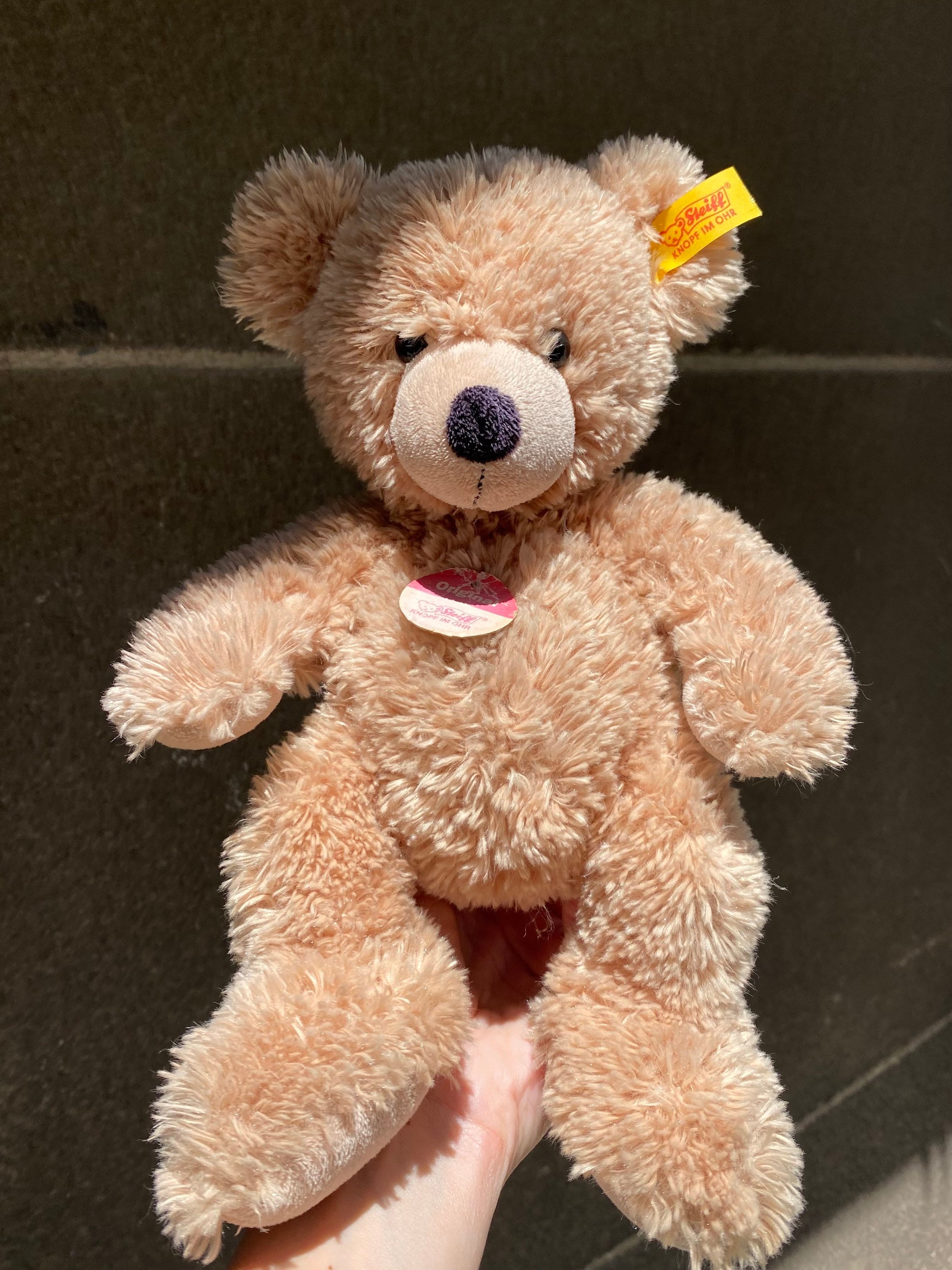 Steiff Fynn Beige Plush Bear: Collectible Germany Toy (11in) - Etsy