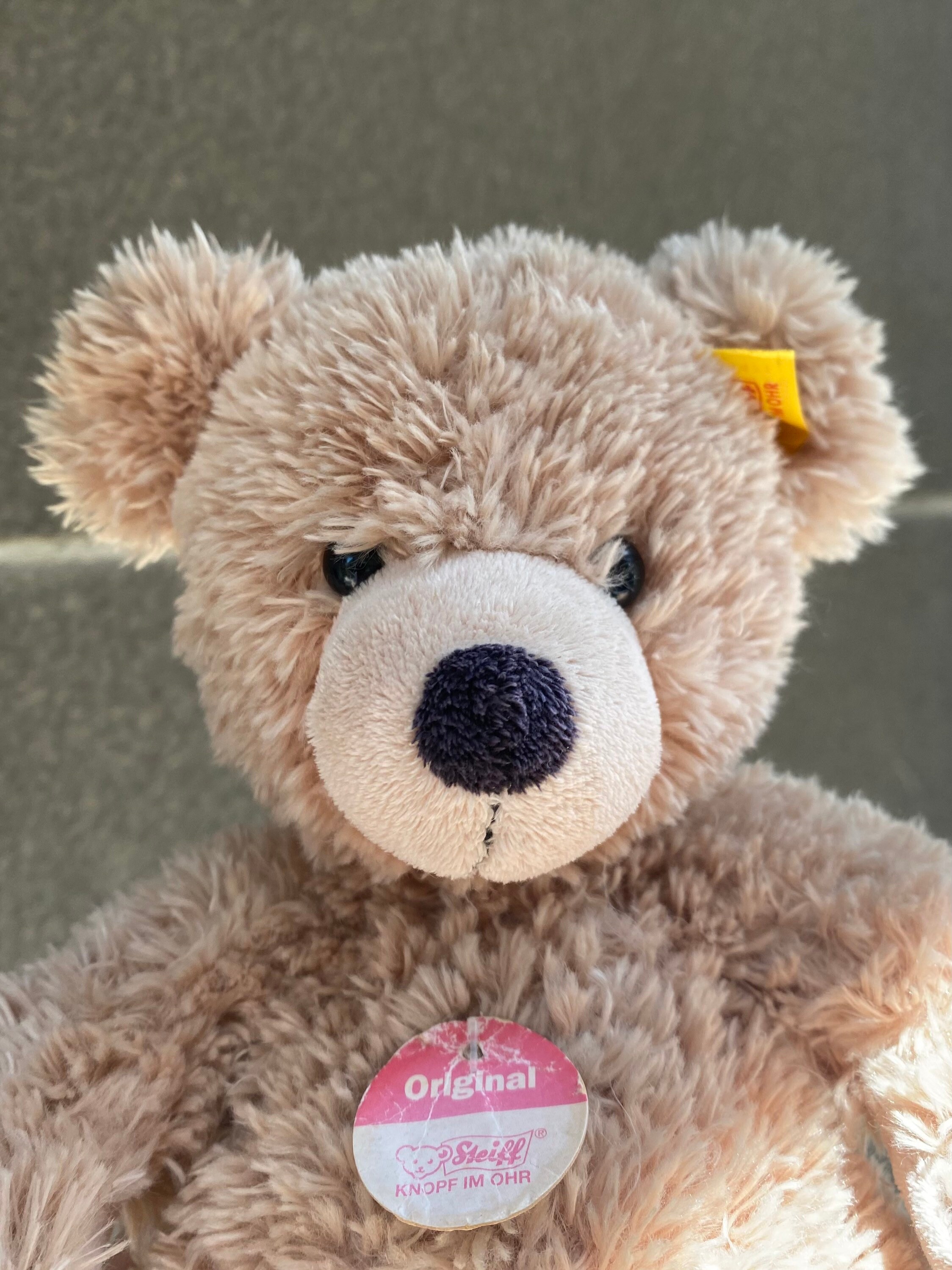 ドイツで購入⭐️Steiff Fynn teddybarぬいぐるみ ベージュ 4174N528t+L.jpg_BO30,255,255,