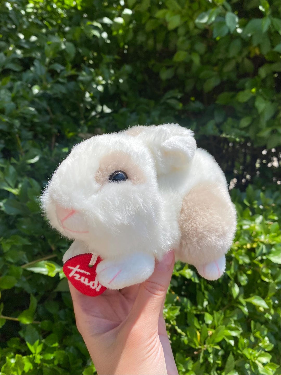 Super Cute Small White Cream Bunny Plush Toy by Trudi for a Gift, White ...