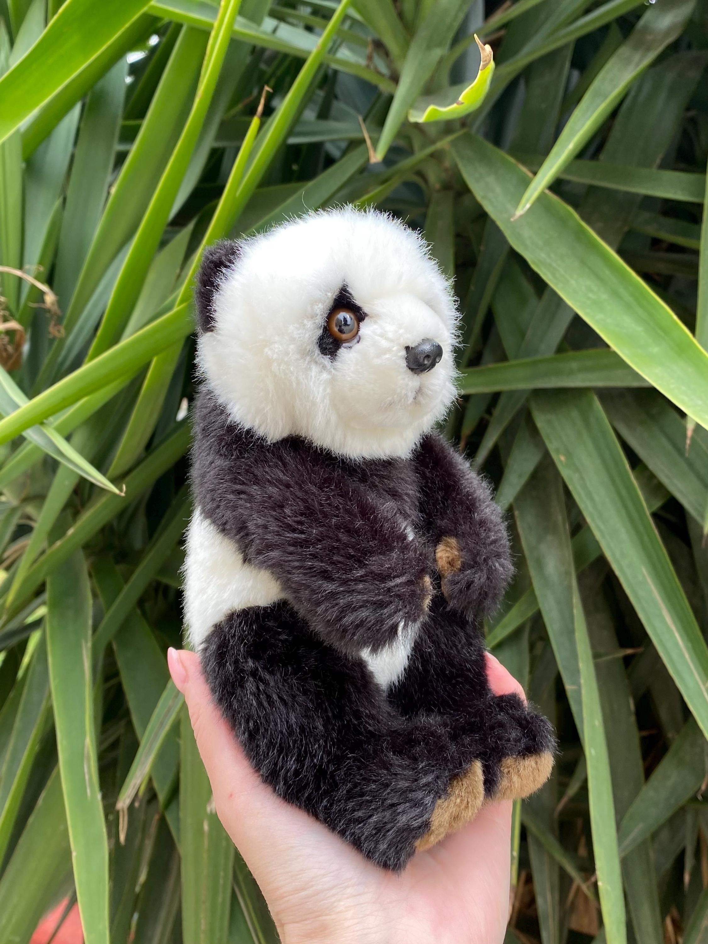 Vintage 1986 WWF Baby Panda Plush Toy: Small Realistic Stuffed
