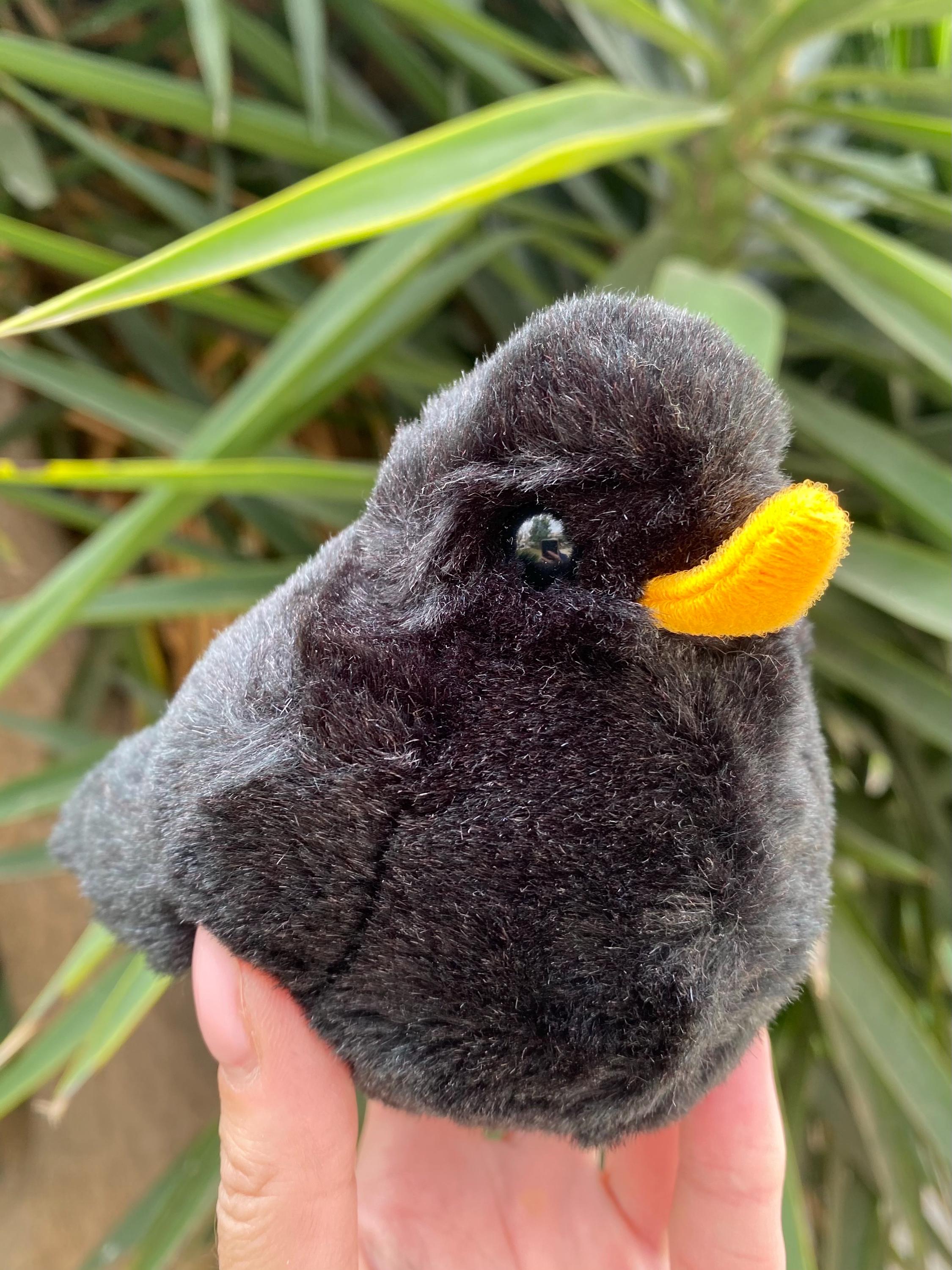 Retired Kosen Blackbird Realistic Plush Germany for Collectors - Etsy