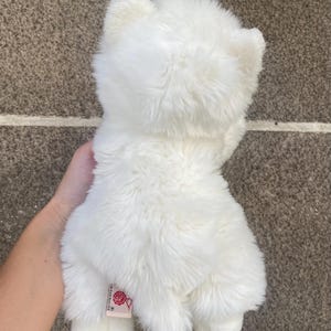 May include: White plush toy resembling a polar bear with a red tag that says "Jellycat" on the back.