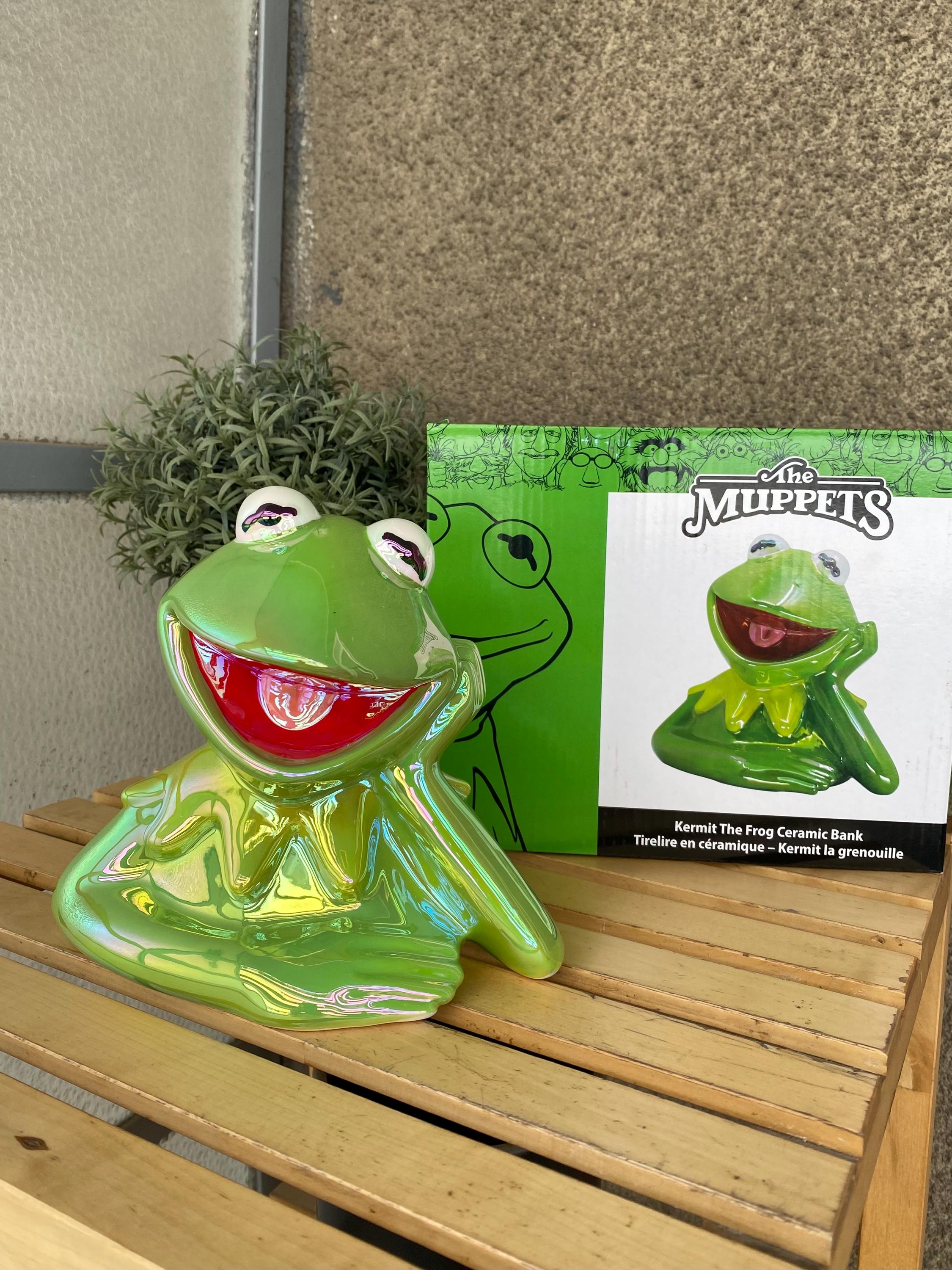 Vintage Kermit Box - Etsy Canada