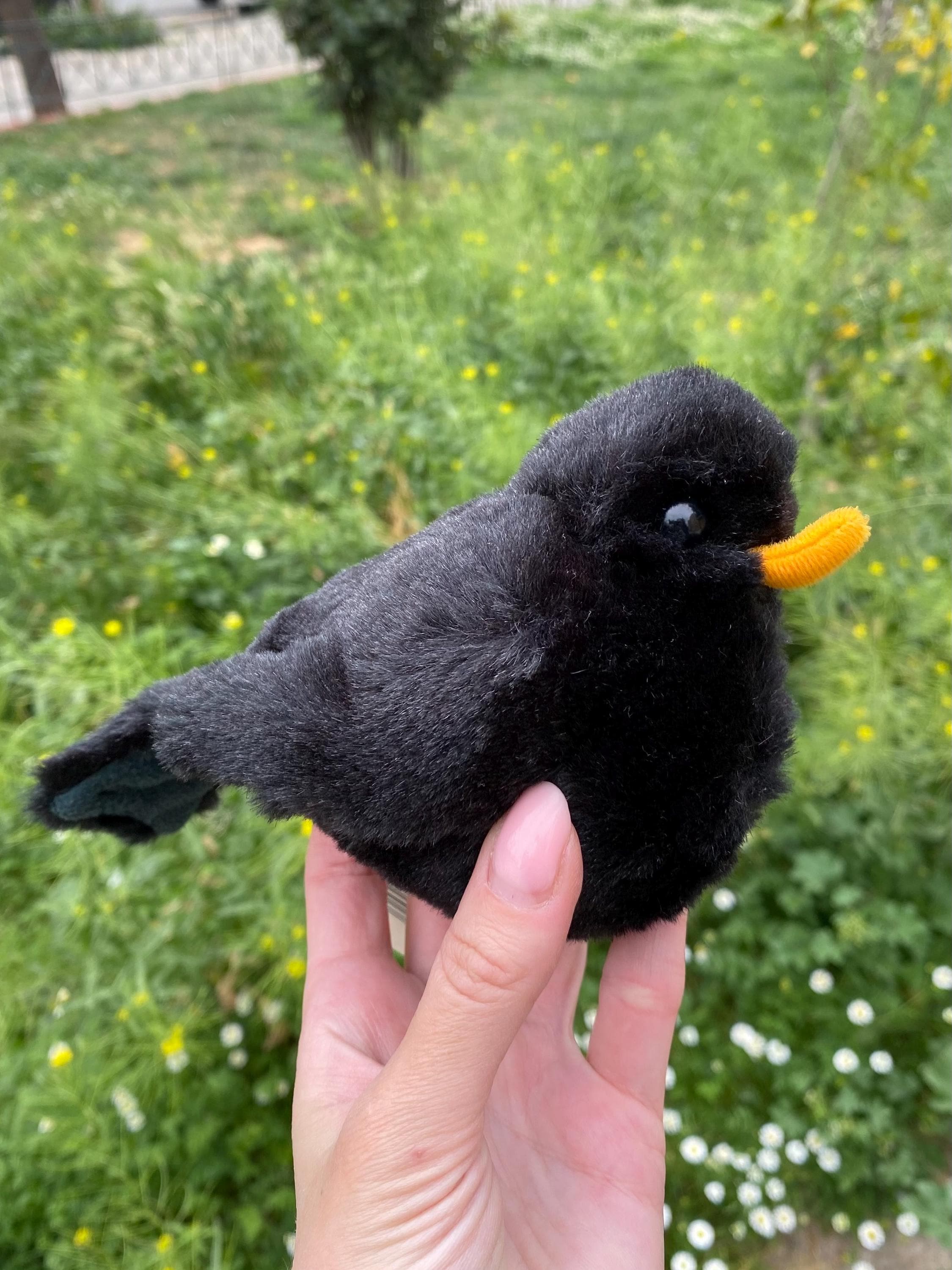 blackbird グッズ ② Retired Kosen Blackbird Realistic Plush Germany for Collectors - Etsy