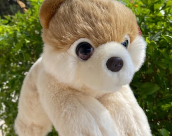 Op de afbeelding: Een pluchen hond met crème- en bruin haar. Het knuffeldier heeft grote, donkere ogen en een kleine, bruine neus. De speelgoedhond is geplaatst voor een groene, bladerrijke achtergrond.