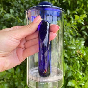 Puede incluir: Una cafetera de prensa francesa de vidrio transparente con un vibrante asa, tapa y detalles azules. El asa tiene un dise&ntilde;o s&oacute;lido, liso y curvo. La base tiene una banda de metal plateado. El fondo es un exuberante follaje verde.