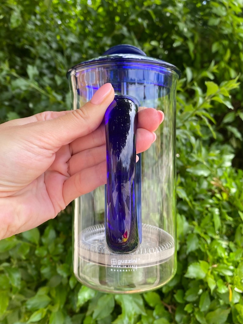 Puede incluir: Una cafetera de prensa francesa de vidrio transparente con un vibrante asa, tapa y detalles azules. El asa tiene un dise&ntilde;o s&oacute;lido, liso y curvo. La base tiene una banda de metal plateado. El fondo es un exuberante follaje verde.