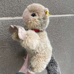 Steiff yellow tag - Etsy 日本