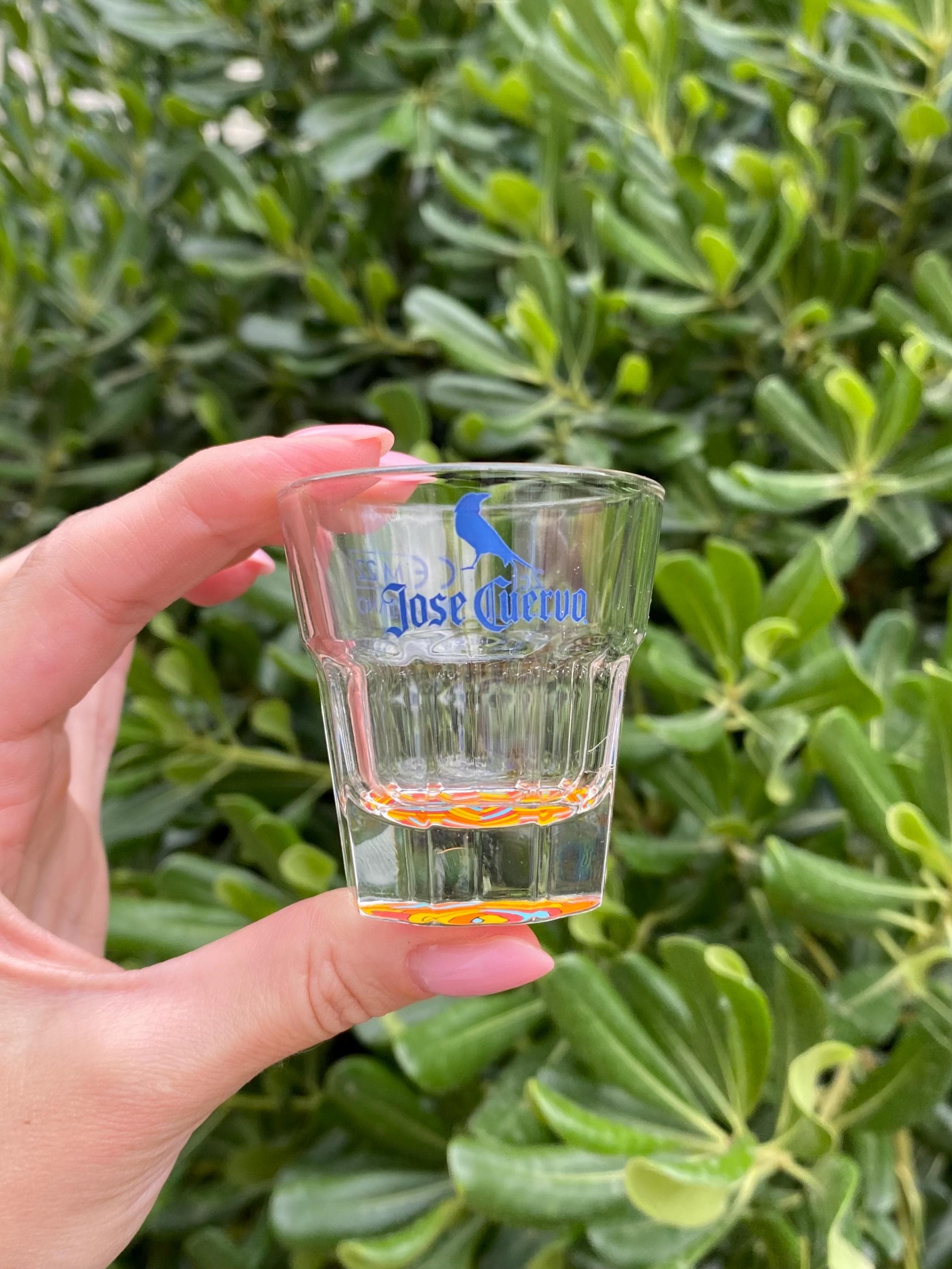 イタリア製のカラフルな底が付いた、陽気なホセ・クエルボ