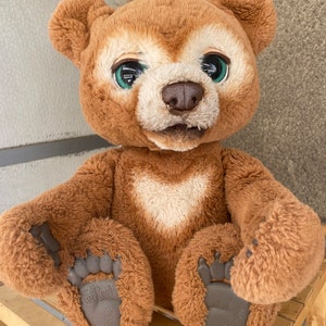 Cubby Oso Curioso Juguete Furreal El Oso Curioso Curioso Furreal