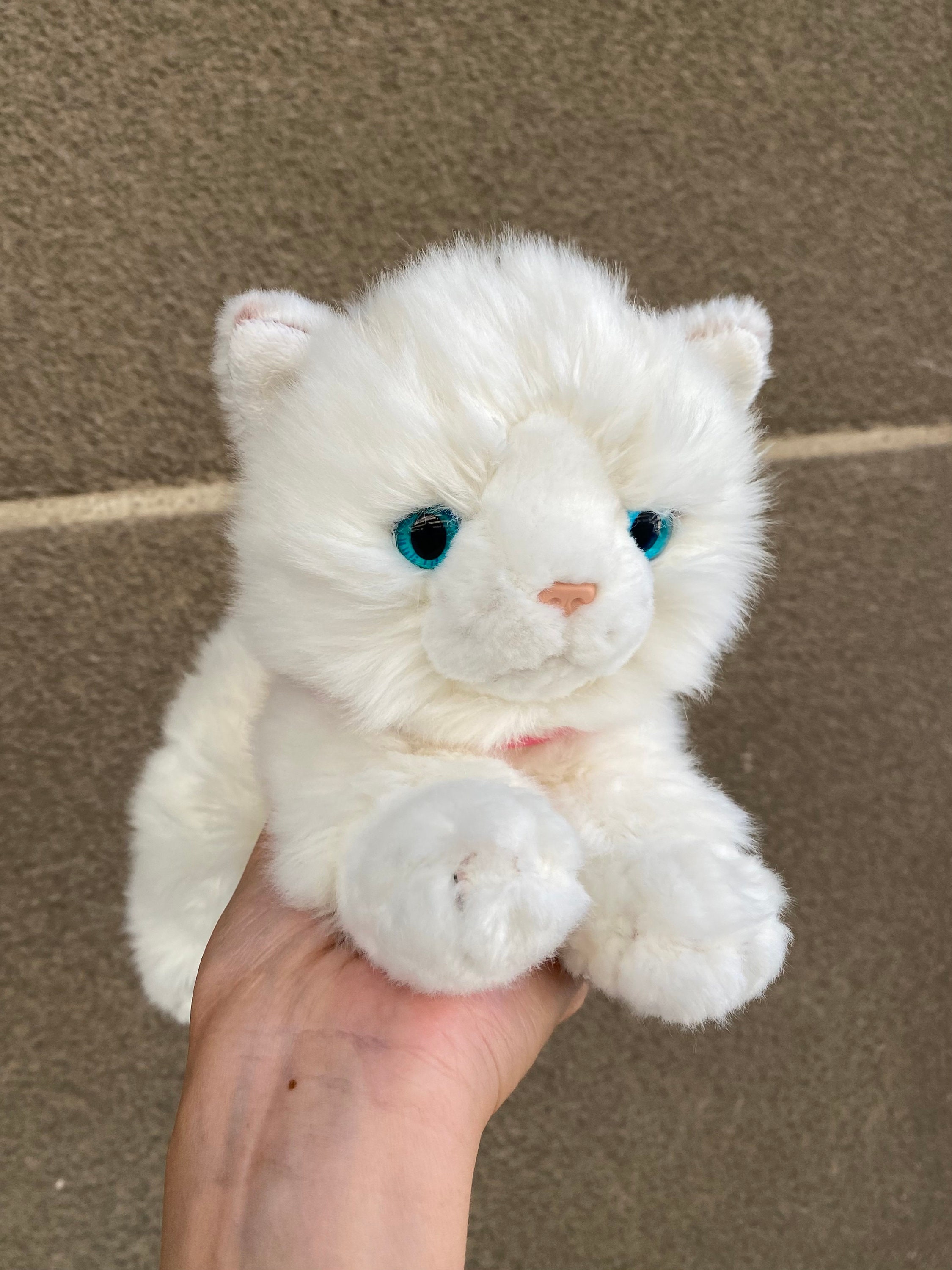White cat teddy 2025