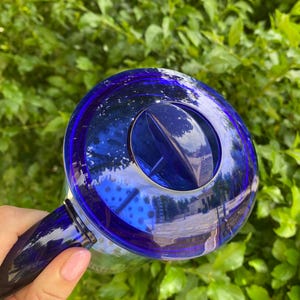 Puede incluir: Una regadera de vidrio azul cobalto con asa y parte superior circular. La regadera se sostiene sobre un fondo de follaje verde, con la luz del sol reflejada en el vidrio.