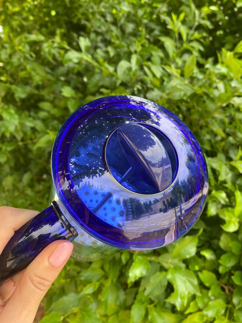 Puede incluir: Una regadera de vidrio azul cobalto con asa y parte superior circular. La regadera se sostiene sobre un fondo de follaje verde, con la luz del sol reflejada en el vidrio.