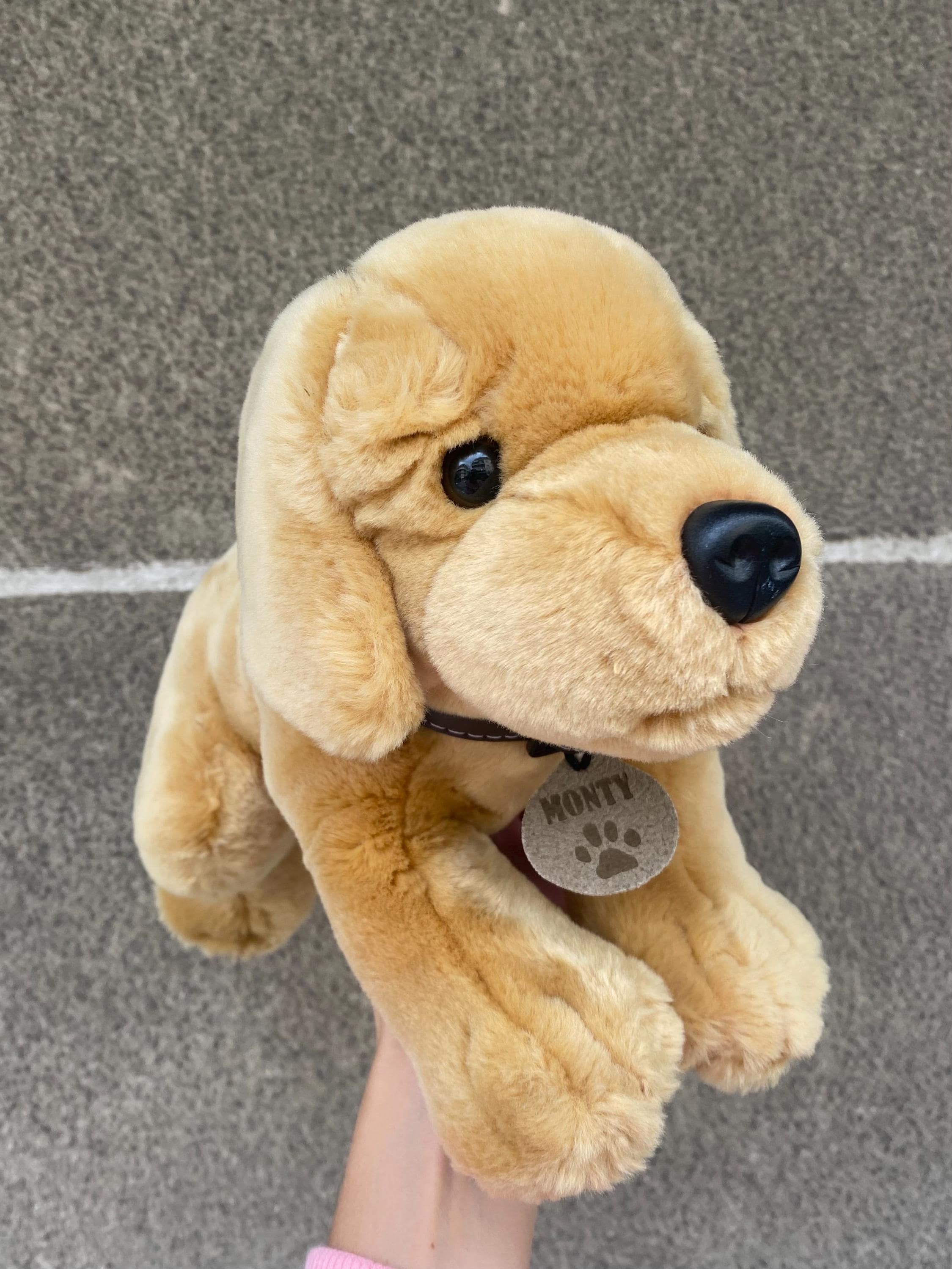 ゴールド レーベル コレクション Teddy Takes Requests il_fullxfull.7285631088_gh37.jpg