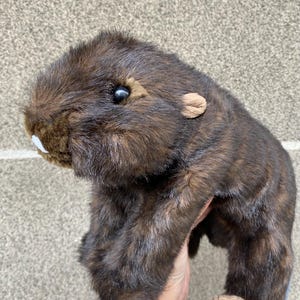 Realistic Beaver Plush: Stuffed Animal Toy 31cm/12,2in