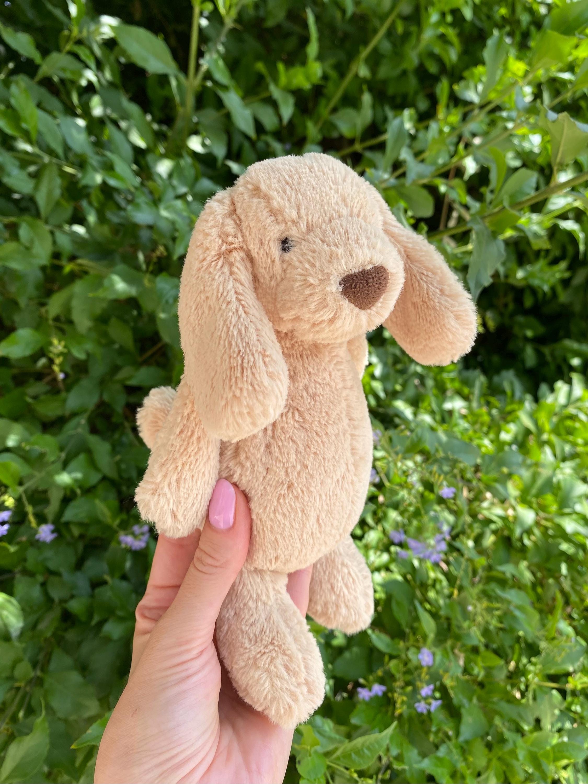 Retired Jellycat Small Bashful Toffee Puppy Plush Toy, Jellycat