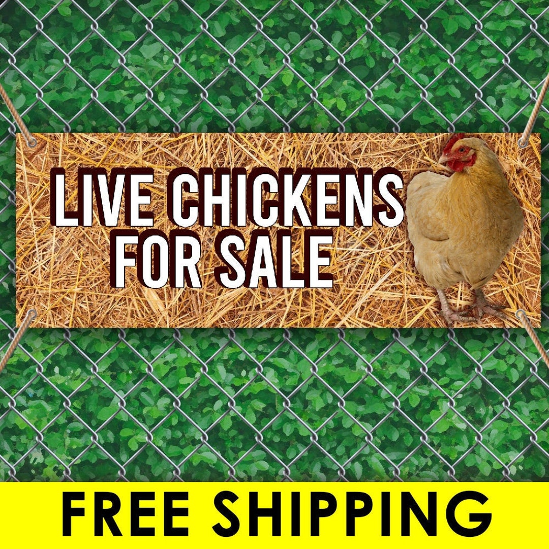 Live Chickens for Sale 13oz Vinyl Banner Sign With Grommets Etsy
