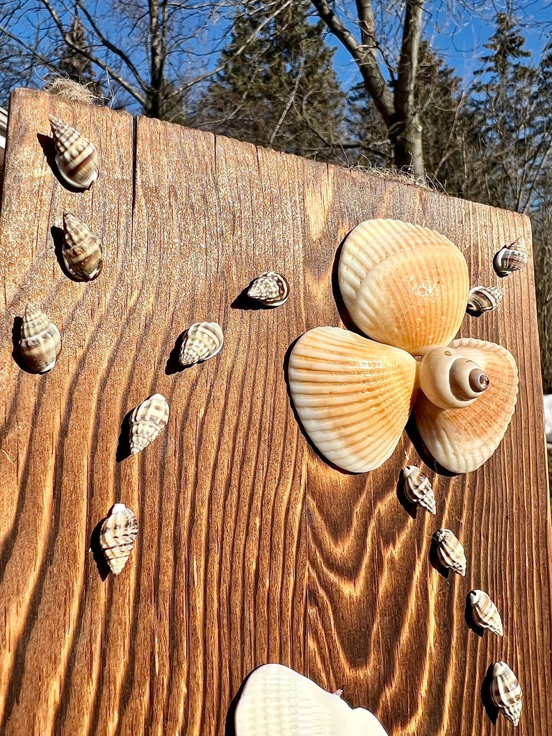 Shell Butterfly and Shell Flower Wall Hang Etsy