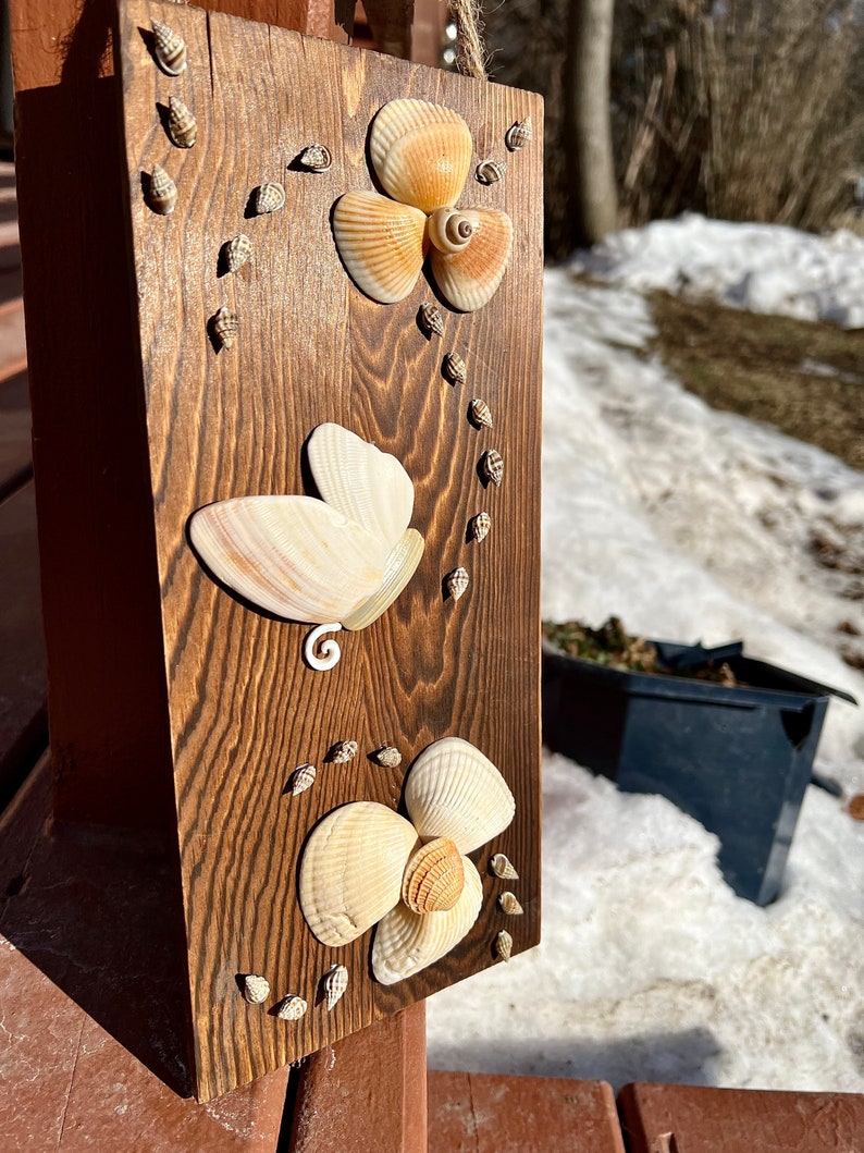 Shell Butterfly and Shell Flower Wall Hang Etsy
