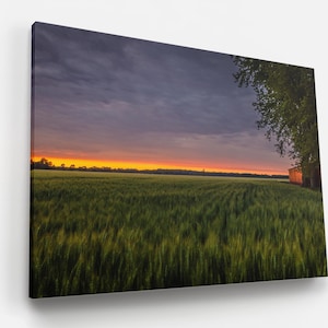 Wheat field sunset Photo Clouds Drama Sky Acrylic Brushed Metal Framed Fine Art Home Decor