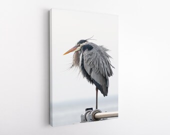 Blue Heron Canvas Print: Coastal Seabird Wall Art