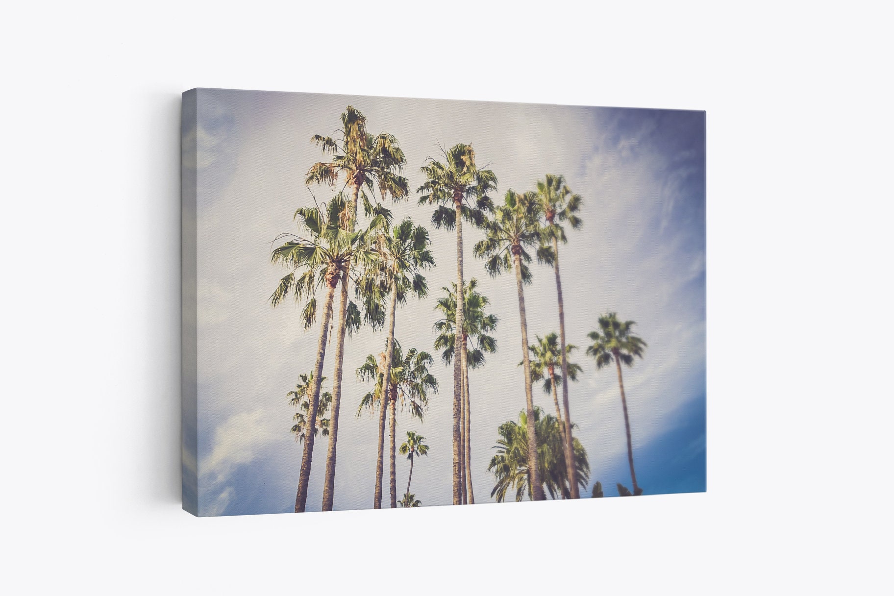 Palm Tree Photography Wall Art Palm Tree Photo Art Birthday Etsy