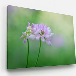 Toile de papier trèfle floral, impression sur métal, impression de belles fleurs, photographie d'art, décoration d'intérieur, cadeaux, impression d'image, anniversaire