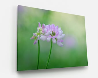 Floral Clover Paper Canvas Print Flower Photography Fine Art Home Decor