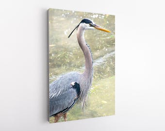 Blue Heron Print – Florida Wildlife Photography, Wall Art