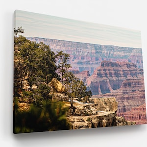 Grand Canyon Photograph Mather Point View Epic Landscape Photography Lone Tree Winter Desert Hanging Wall Art