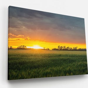 Sunset Golden Hour Wheat Field Wall Art Photograph Landscape Sky Print Decor Kingsville Ontario Wheat Field