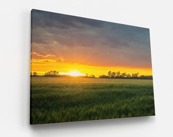 Kingsville Prairie