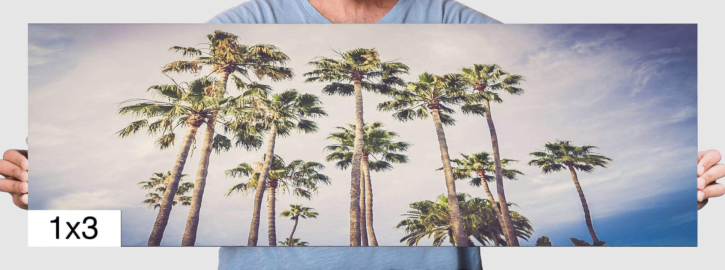 Palm Tree Photography Wall Art Palm Tree Photo Art Birthday Etsy