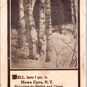 Cartão postal de lembrança de Nova York de 1910 Howe Cave PC8