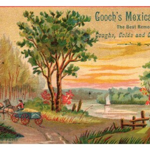 Gooch&#39;s Mexican Root Capsules Quack - 1880s Victorian Trade Card TJ8-3