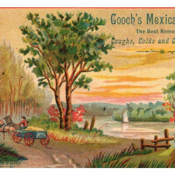 Gooch's Mexican Root Capsules Quack - 1880s Victorian Trade Card TJ8-3