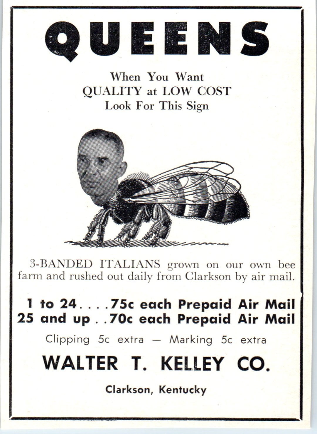 Walter T. Kelley Italian Queen Bees Clarkson KY 1964 Magazine Ad AB6LB
