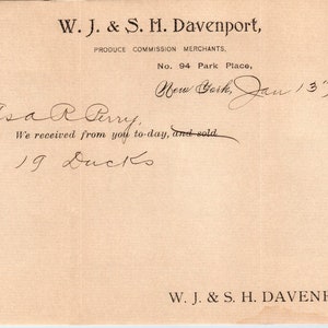 1896 W.J. & S.M. Davenport Produce Merchants New York Billhead Letterhead D17