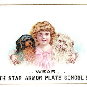 North Star Shoes Minneapolis Cocker Spaniel Dogs c1880 Victorian Trade Card AE2