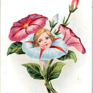 Gesicht in Blume Petunia Dahlien geprägt c1909 Original Postkarte TK1-27