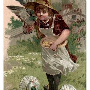 Arbuckles Coffee Girl Feeding Birds - Scheda commerciale vittoriana del 1880 TJ8-3