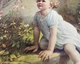 1920's Zula Kenyon Home of the Bluebird Art Print Lithograph