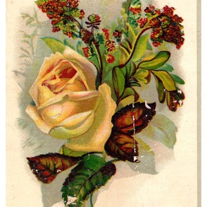 J.F. Marquardt y su hijo Ma-Le-Na Tiffin Ohio - Tarjeta comercial victoriana de la década de 1880 TJ8-3