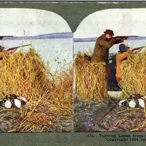 Caça ao pato vitoriano - Soltando-se do ponto cego - Cartão Stereoview TJ1-C1
