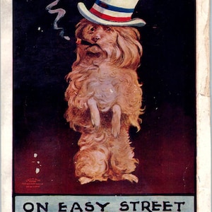 Carte postale illustrée PD2 de 1907, un chien fumeur déguisé en Oncle Sam sur Easy Street